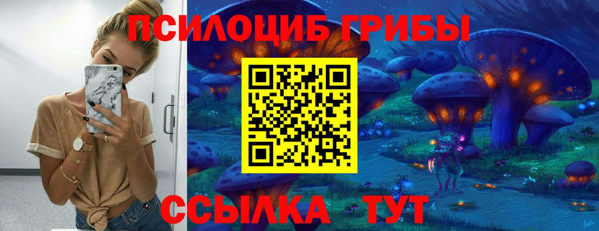 Галлюциногенные грибы MAGIC MUSHROOMS Фрязино